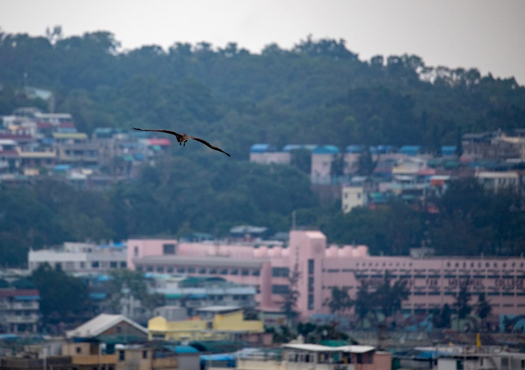 Cheung Chau